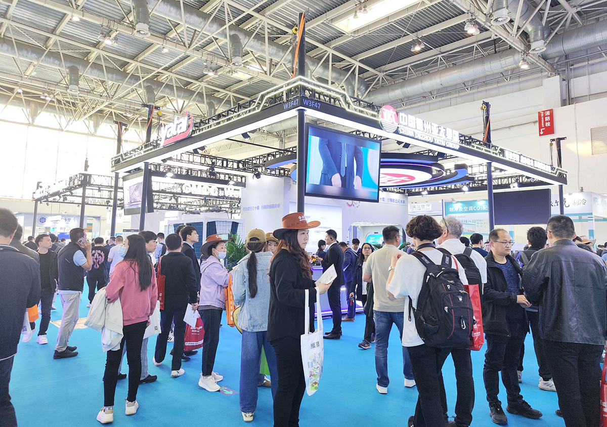 MVIMG_20240408_152007.jpg MVIMG_20240408_152007.jpg